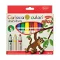 Set carioci groase Maxi Unicolora Daco 10 culori