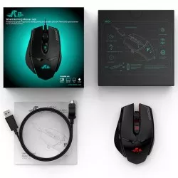 Mouse gaming, Rii