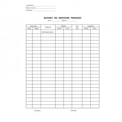 Raport de gestiune periodic A4 RS, tipar fata, 100 file/carnet