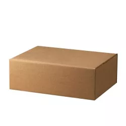 Cutii carton personalizate cu autoformare, ondula C 3 straturi natur, FEFCO 0427