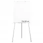 Flipchart magnetic 70x100 cm, cu inaltime reglabila maxim 170 cm , suport markere