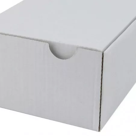 Cutie cu autoformare 155x100x60 mm alba, carton microondul E 360 g, FEFCO 0427