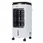 Racitor aer 4 in 1, portabil, 80W, umidificare, purificare, ventilare, 4l, telecomanda, 3 moduri