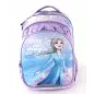 Ghiozdan clasele primare, animatie Frozen, spate si bretele buretate, 38 x 27 x 12 cm