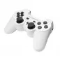 Controller cu fir PS3/PC Esperanza Trooper, USB, 12 butoane, alb