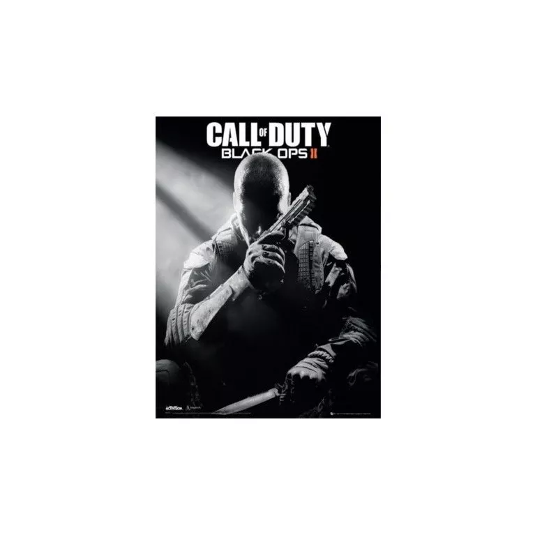 Joc Call of Duty: Black Ops II pentru PC, Steam CD-KEY Global