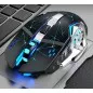 Mouse optic fara fir 1000/1200/1600 DPI, intrare USB, forma ergonomica, 122g, negru